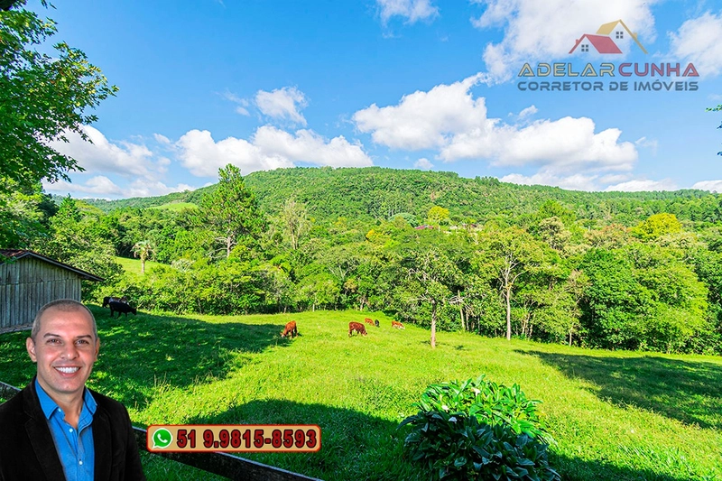 Chácara com 3.7 hectares à VENDA em Lomba Grande - RS: 30ª foto da galeria de imagens do imóvel