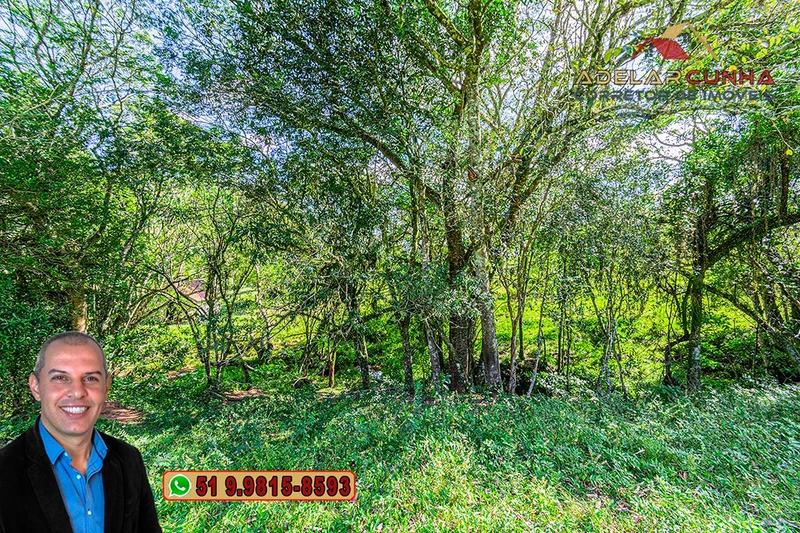 Chácara com 3.7 hectares à VENDA em Lomba Grande - RS: 59ª foto da galeria de imagens do imóvel