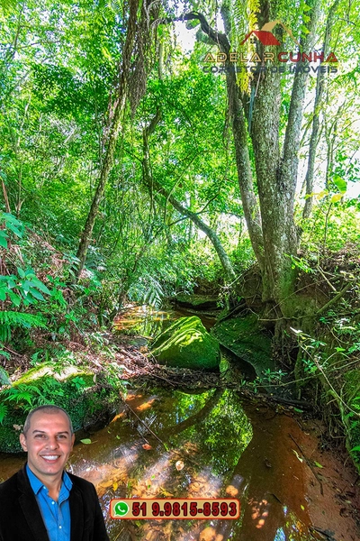 Chácara com 3.7 hectares à VENDA em Lomba Grande - RS: 65ª foto da galeria de imagens do imóvel