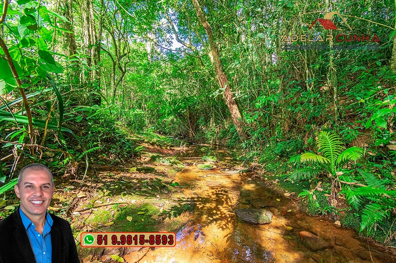 Chácara com 3.7 hectares à VENDA em Lomba Grande - RS: 66ª foto da galeria de imagens do imóvel