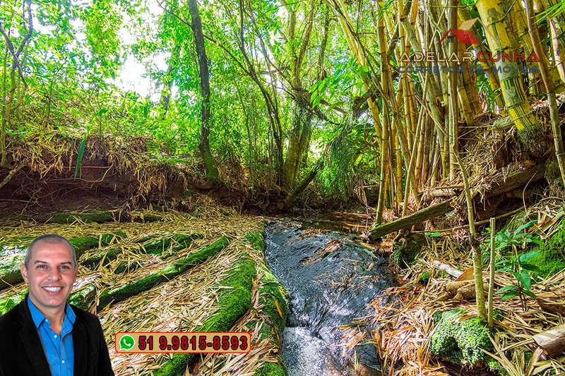 Chácara com 3.7 hectares à VENDA em Lomba Grande - RS: 68ª foto da galeria de imagens do imóvel