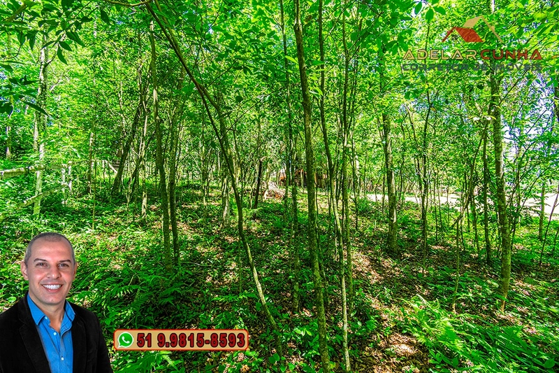 Chácara à VENDA na divisa de Lomba Grande com Taquara - RS  : 20ª foto da galeria de imagens do imóvel