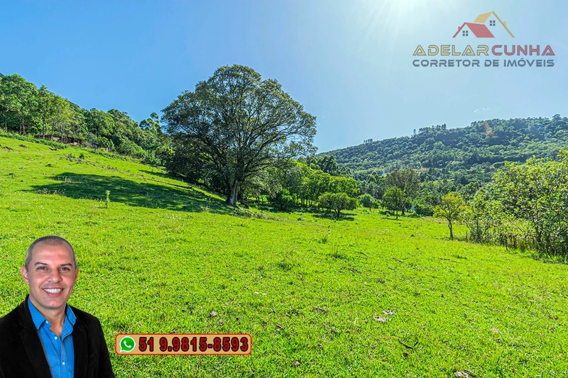 Sítio de 6.5 hectares à Venda em Taquara - RS: 22ª foto da galeria de imagens do imóvel