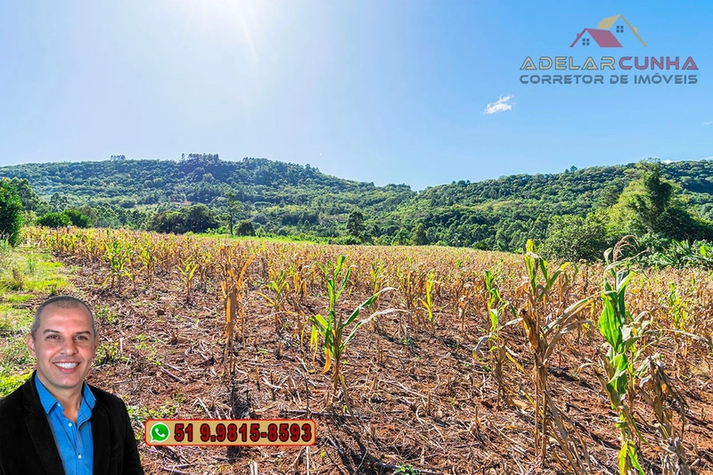Sítio de 6.5 hectares à Venda em Taquara - RS: 15ª foto da galeria de imagens do imóvel