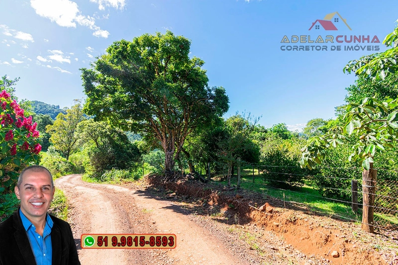 Sítio de 6.5 hectares à Venda em Taquara - RS: 26ª foto da galeria de imagens do imóvel