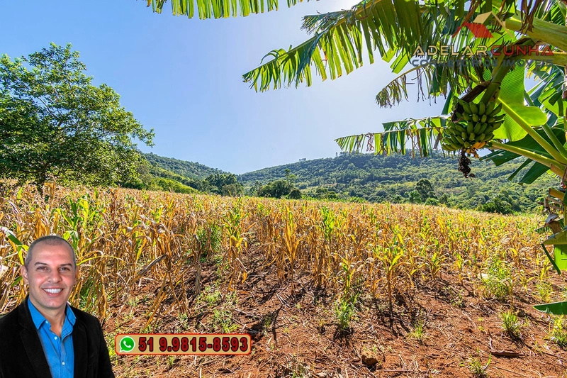 Sítio de 6.5 hectares à Venda em Taquara - RS: 16ª foto da galeria de imagens do imóvel