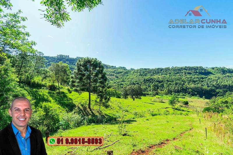 Sítio de 6.5 hectares à Venda em Taquara - RS: 24ª foto da galeria de imagens do imóvel