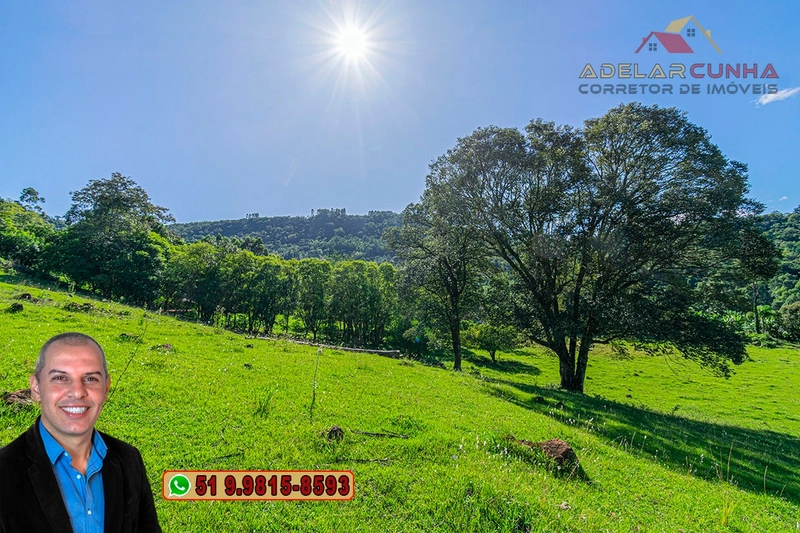 Sítio de 6.5 hectares à Venda em Taquara - RS: 10ª foto da galeria de imagens do imóvel