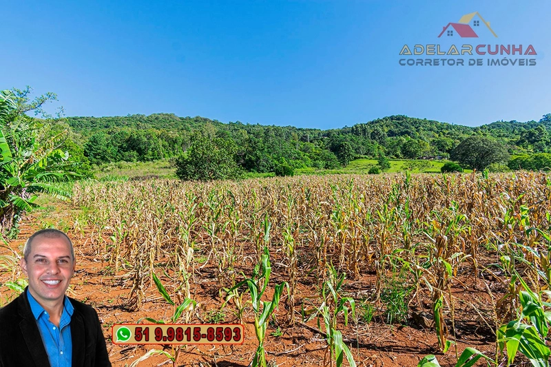 Sítio de 6.5 hectares à Venda em Taquara - RS: 13ª foto da galeria de imagens do imóvel