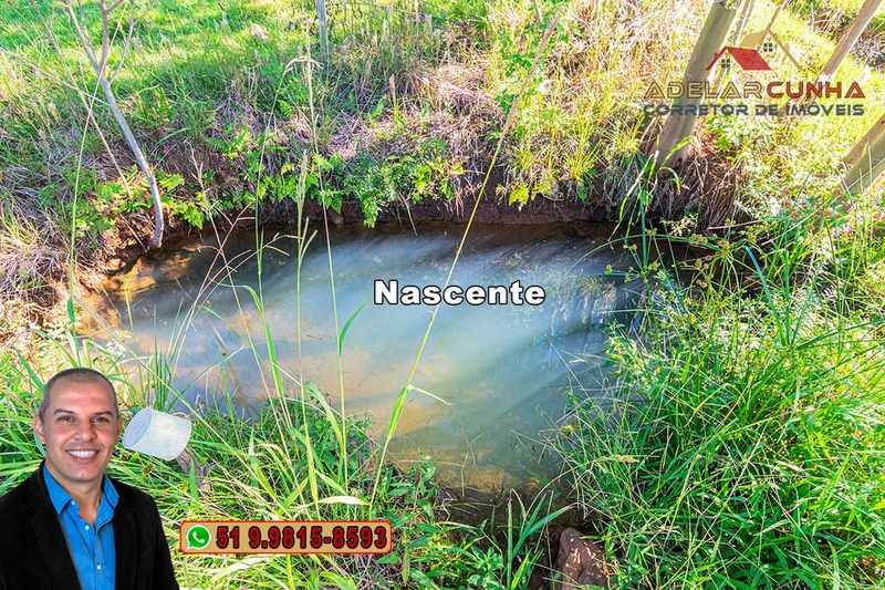 Sítio de 6.5 hectares à Venda em Taquara - RS: 11ª foto da galeria de imagens do imóvel