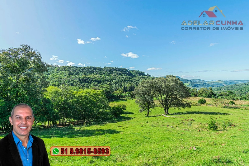 Sítio de 6.5 hectares à Venda em Taquara - RS: 8ª foto da galeria de imagens do imóvel