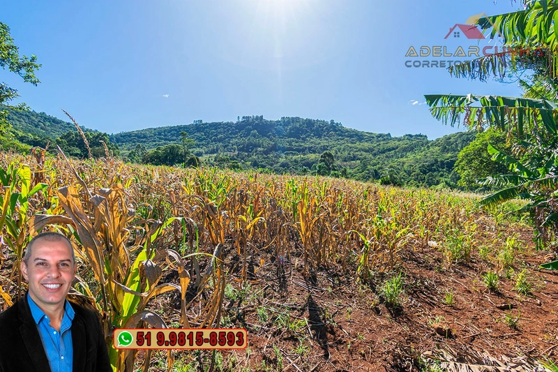 Sítio de 6.5 hectares à Venda em Taquara - RS: 14ª foto da galeria de imagens do imóvel