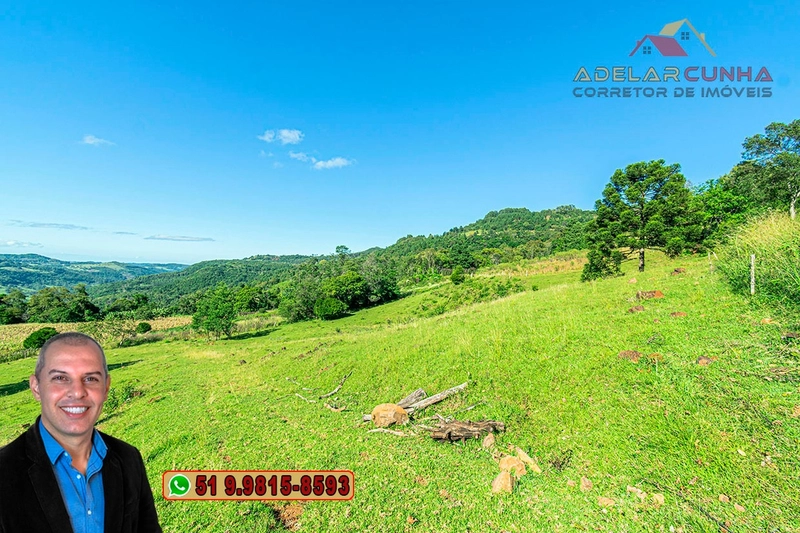 Sítio de 6.5 hectares à Venda em Taquara - RS: 9ª foto da galeria de imagens do imóvel