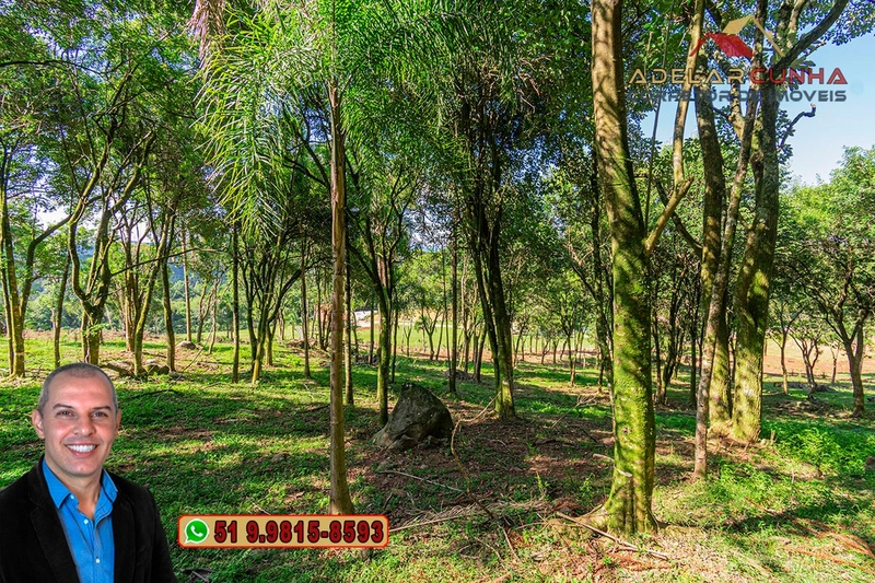 Chácara 2.2 hectares à VENDA em Serra Grande - Gramado - RS: 13ª foto da galeria de imagens do imóvel