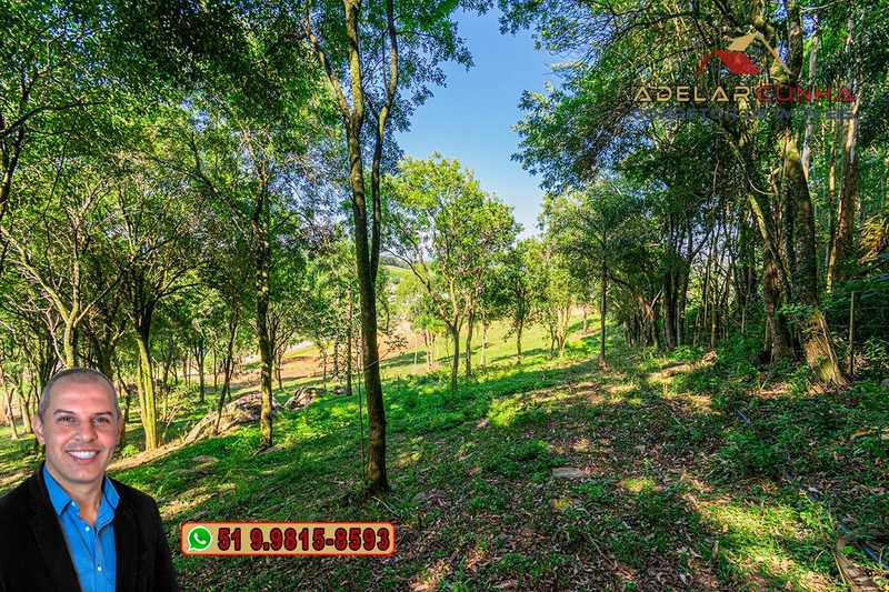 Chácara 2.2 hectares à VENDA em Serra Grande - Gramado - RS: 10ª foto da galeria de imagens do imóvel