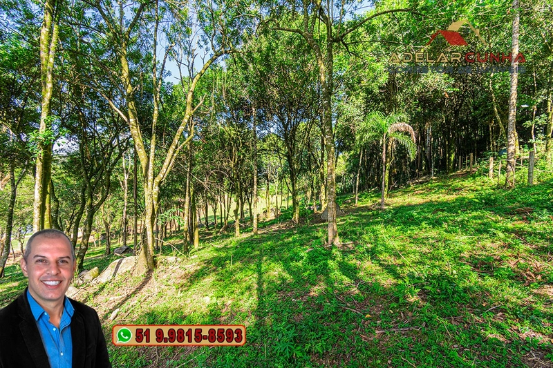 Chácara 2.2 hectares à VENDA em Serra Grande - Gramado - RS: 14ª foto da galeria de imagens do imóvel