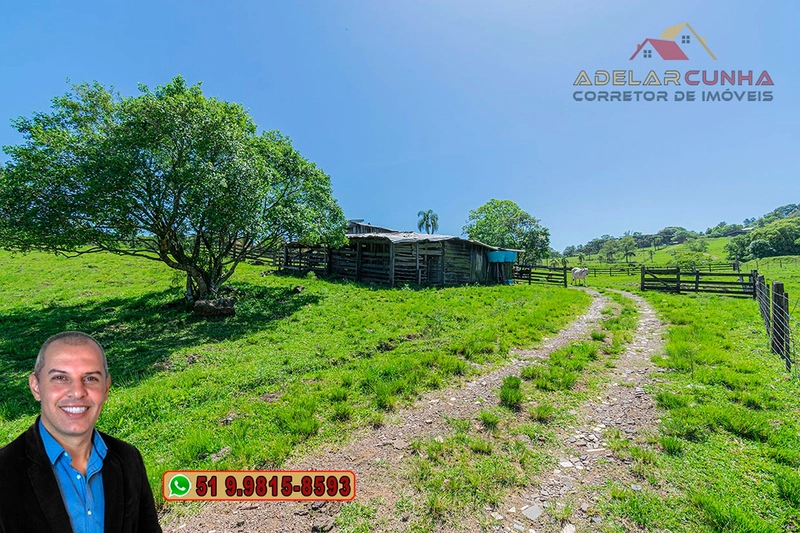 Sítio de 11.5 hectares com Vista Panorâmica à VENDA em Igrejinha!  : 23ª foto da galeria de imagens do imóvel