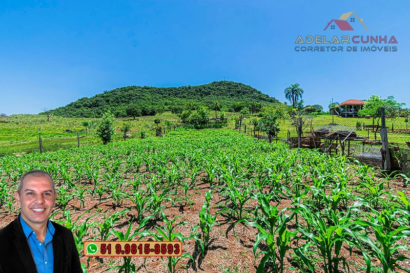 Sítio de 11.5 hectares com Vista Panorâmica à VENDA em Igrejinha!  : 61ª foto da galeria de imagens do imóvel