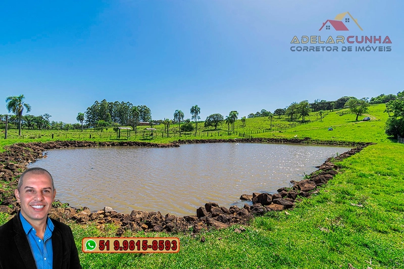 Sítio de 11.5 hectares com Vista Panorâmica à VENDA em Igrejinha!  : 16ª foto da galeria de imagens do imóvel