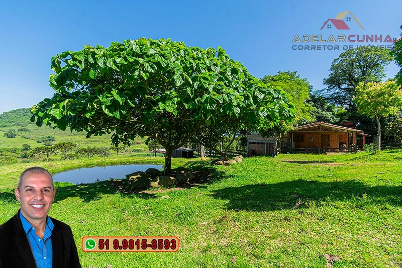 Sítio de 11.5 hectares com Vista Panorâmica à VENDA em Igrejinha!  : 5ª foto da galeria de imagens do imóvel