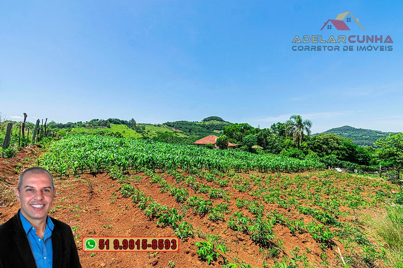 Sítio de 11.5 hectares com Vista Panorâmica à VENDA em Igrejinha!  : 63ª foto da galeria de imagens do imóvel