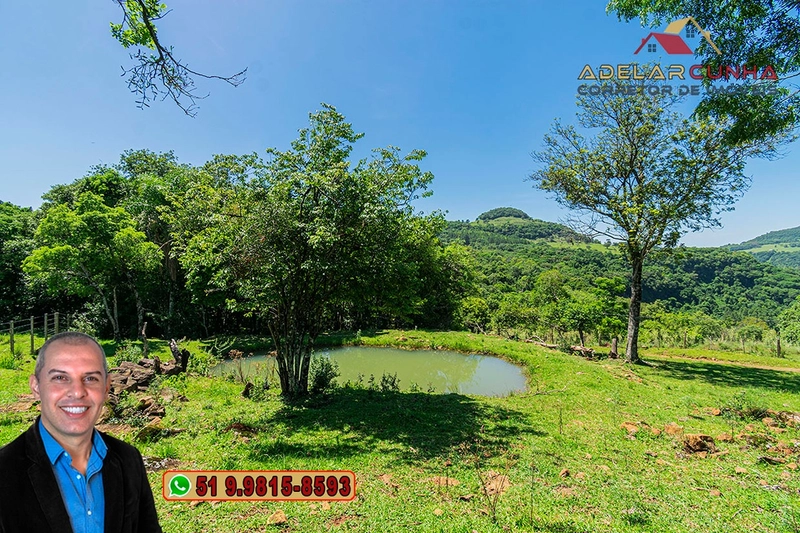 Sítio de 11.5 hectares com Vista Panorâmica à VENDA em Igrejinha!  : 32ª foto da galeria de imagens do imóvel