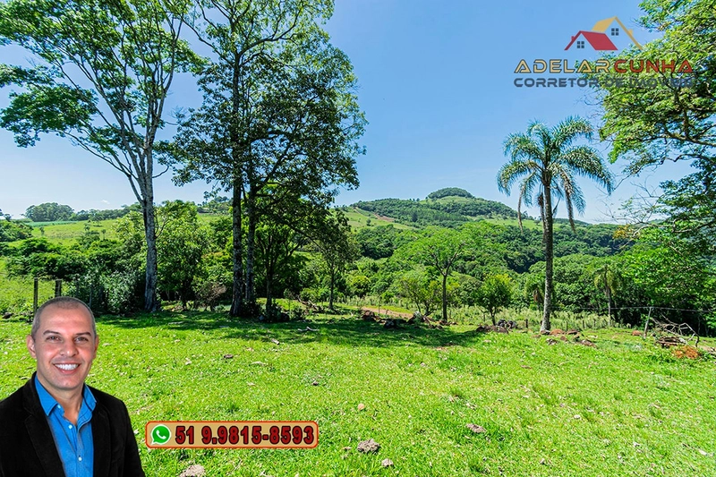 Sítio de 11.5 hectares com Vista Panorâmica à VENDA em Igrejinha!  : 33ª foto da galeria de imagens do imóvel