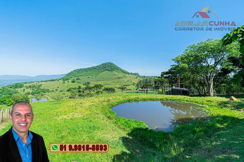 Sítio de 11.5 hectares com Vista Panorâmica à VENDA em Igrejinha!  : 6ª foto da galeria de imagens do imóvel