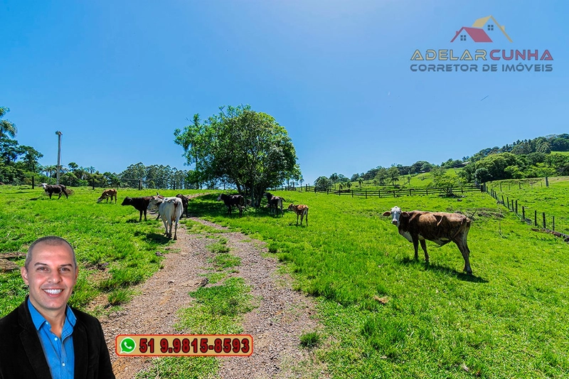 Sítio de 11.5 hectares com Vista Panorâmica à VENDA em Igrejinha!  : 22ª foto da galeria de imagens do imóvel