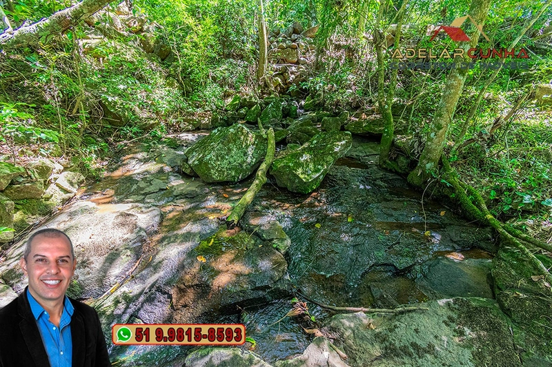 Sítio de 11.5 hectares com Vista Panorâmica à VENDA em Igrejinha!  : 30ª foto da galeria de imagens do imóvel
