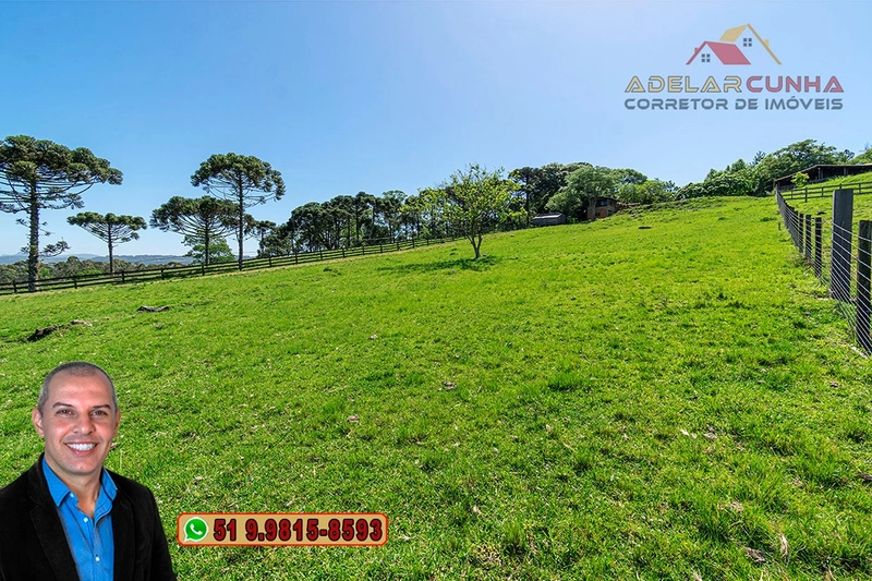 Sítio de 11.5 hectares com Vista Panorâmica à VENDA em Igrejinha!  : 10ª foto da galeria de imagens do imóvel