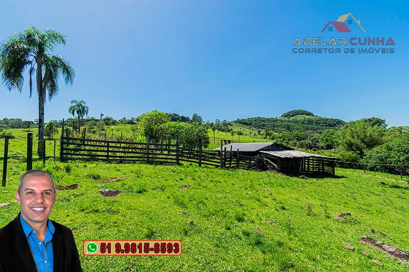 Sítio de 11.5 hectares com Vista Panorâmica à VENDA em Igrejinha!  : 24ª foto da galeria de imagens do imóvel