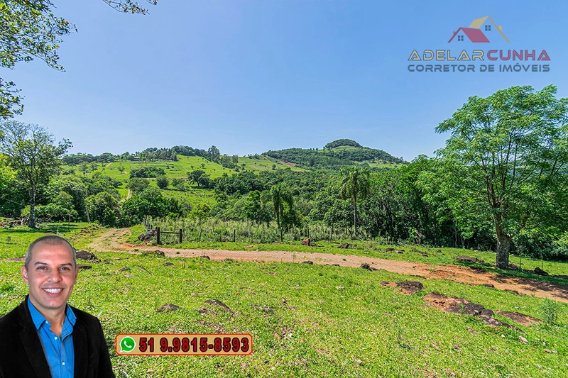 Sítio de 11.5 hectares com Vista Panorâmica à VENDA em Igrejinha!  : 36ª foto da galeria de imagens do imóvel
