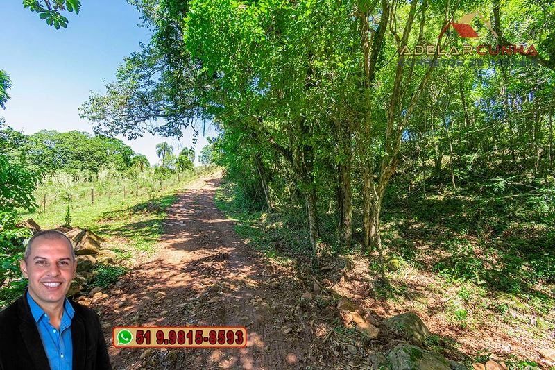 Sítio de 11.5 hectares com Vista Panorâmica à VENDA em Igrejinha!  : 31ª foto da galeria de imagens do imóvel