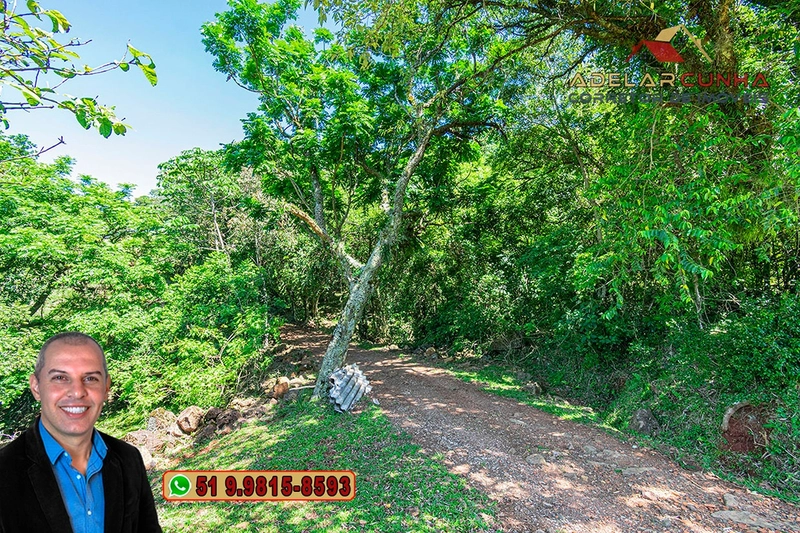 Sítio de 11.5 hectares com Vista Panorâmica à VENDA em Igrejinha!  : 29ª foto da galeria de imagens do imóvel