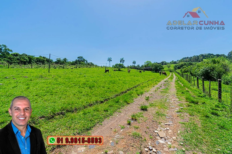 Sítio de 11.5 hectares com Vista Panorâmica à VENDA em Igrejinha!  : 26ª foto da galeria de imagens do imóvel