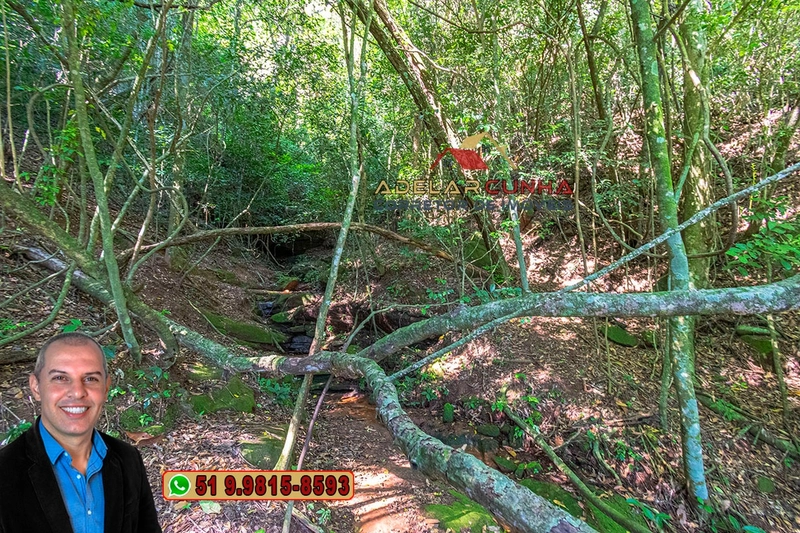 Chácara 2.6 hectares à Venda em Lomba Grande – Novo Hamburgo: 13ª foto da galeria de imagens do imóvel