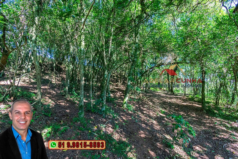 Chácara 2.6 hectares à Venda em Lomba Grande – Novo Hamburgo: 7ª foto da galeria de imagens do imóvel