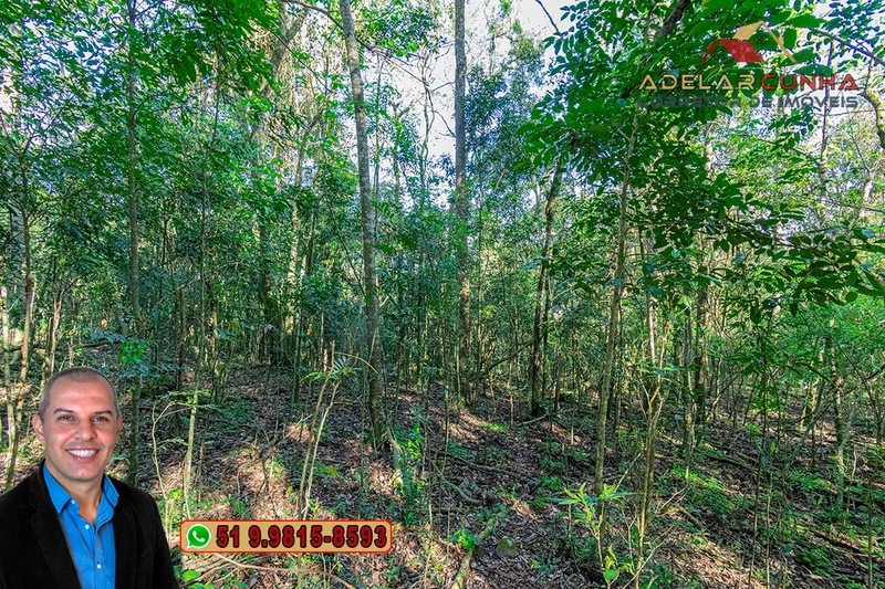 Sítio de 5 hectares à VENDA Igrejinha - RS.: 17ª foto da galeria de imagens do imóvel