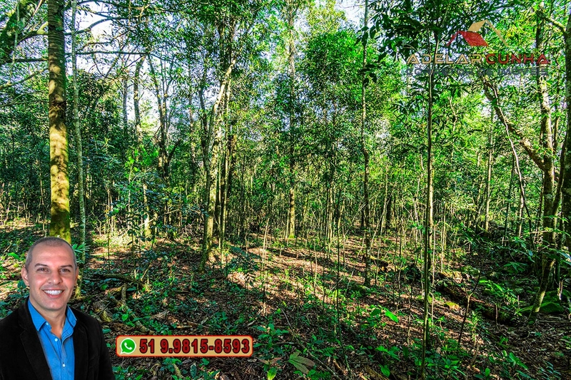 Sítio de 5 hectares à VENDA Igrejinha - RS.: 16ª foto da galeria de imagens do imóvel