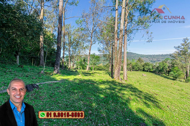 Sítio de 5 hectares à VENDA Igrejinha - RS.: 12ª foto da galeria de imagens do imóvel