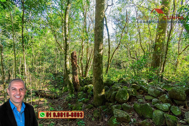 Sítio de 5 hectares à VENDA Igrejinha - RS.: 15ª foto da galeria de imagens do imóvel