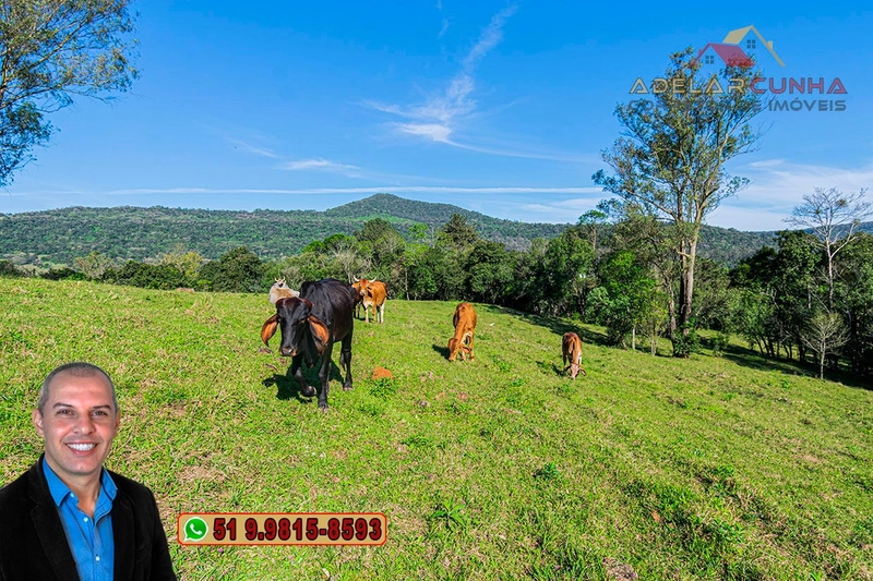 Sítio de 5 hectares à VENDA Igrejinha - RS.: 19ª foto da galeria de imagens do imóvel