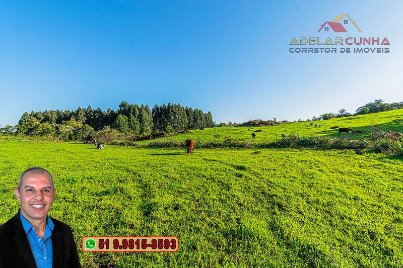 Sítio À VENDA em Serra Grande, Gramado – Três Coroas - RS: 22ª foto da galeria de imagens do imóvel