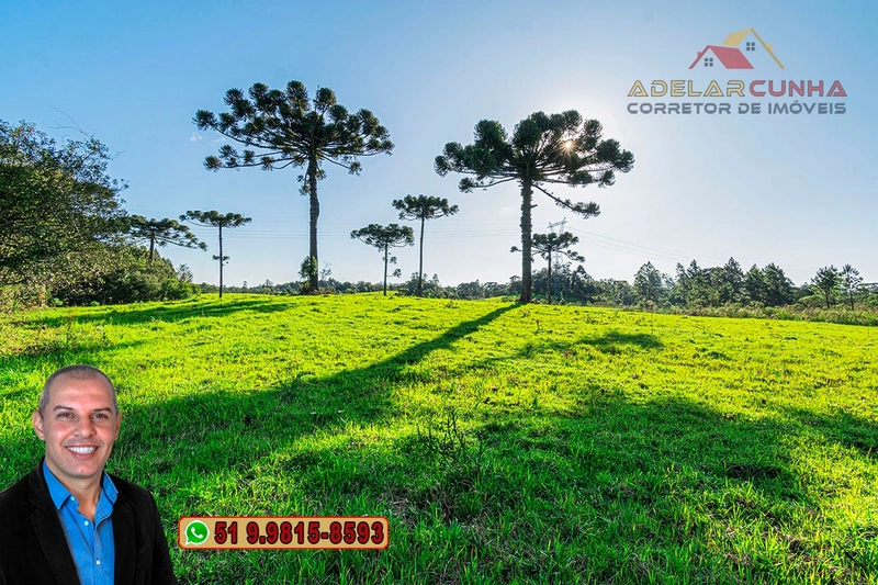 Sítio À VENDA em Serra Grande, Gramado – Três Coroas - RS: 14ª foto da galeria de imagens do imóvel