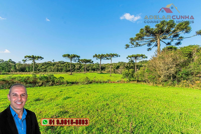 Sítio À VENDA em Serra Grande, Gramado – Três Coroas - RS: 10ª foto da galeria de imagens do imóvel
