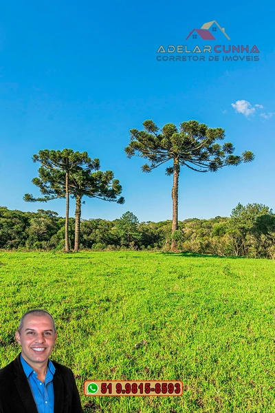 Sítio À VENDA em Serra Grande, Gramado – Três Coroas - RS: 7ª foto da galeria de imagens do imóvel