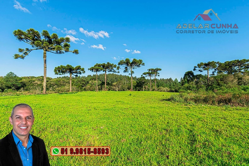 Sítio À VENDA em Serra Grande, Gramado – Três Coroas - RS: 2ª foto da galeria de imagens do imóvel