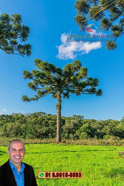 Sítio À VENDA em Serra Grande, Gramado – Três Coroas - RS: 12ª foto da galeria de imagens do imóvel