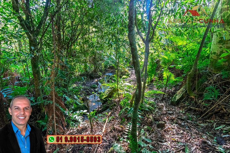 Sítio À VENDA em Serra Grande, Gramado – Três Coroas - RS: 6ª foto da galeria de imagens do imóvel
